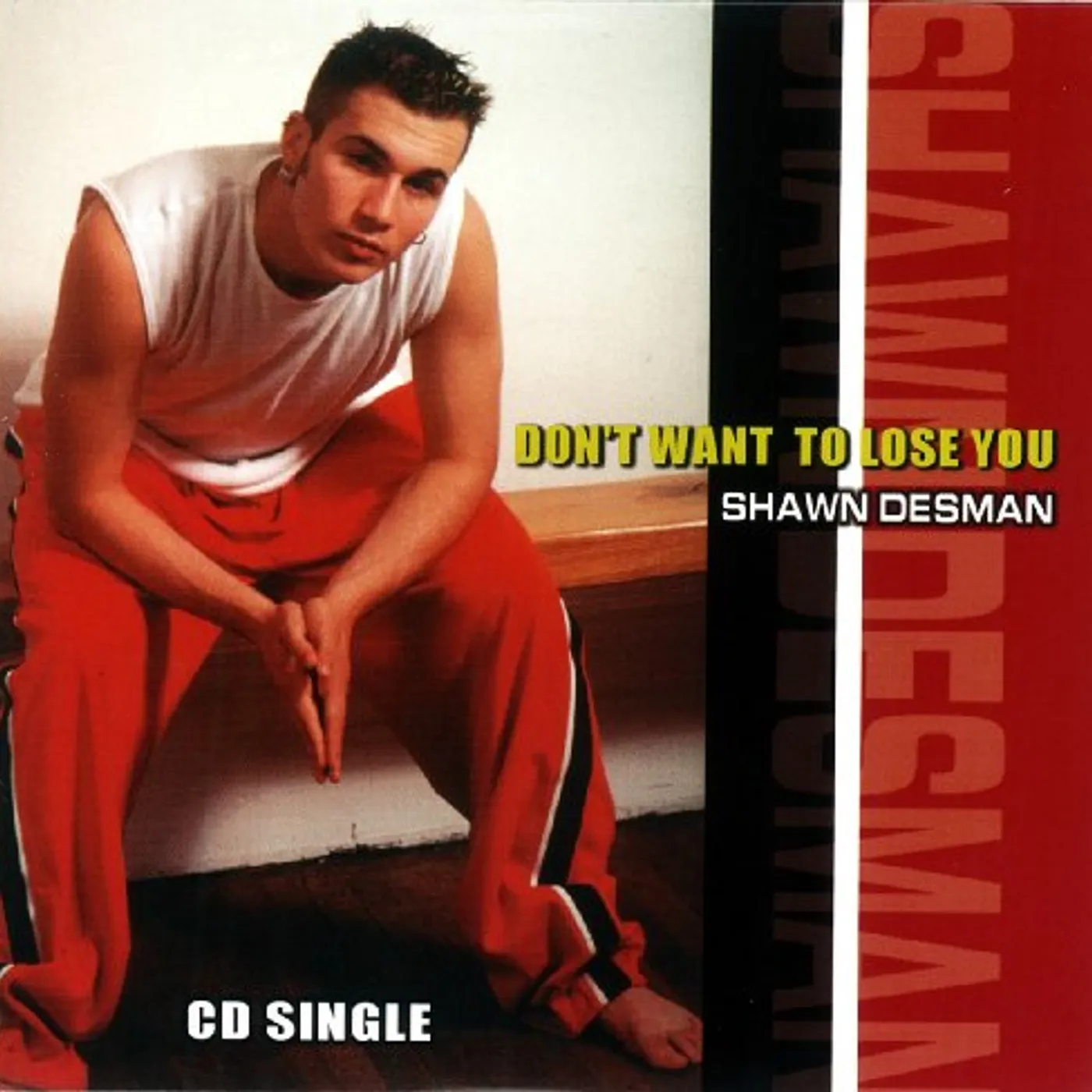 Shawn Desman DON'T WANT TO LOSE YOU CD
