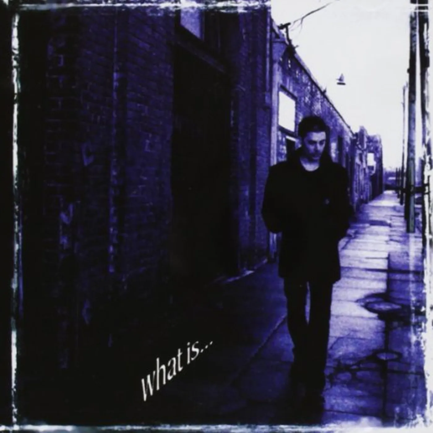 Richie Kotzen WHAT IS CD