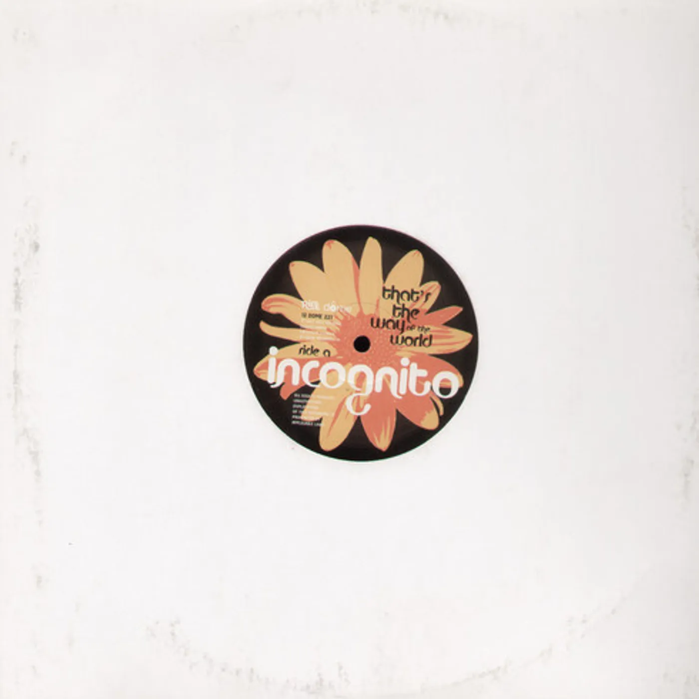 Incognito THATS THE WAY OF THE WORLD Vinyl Record