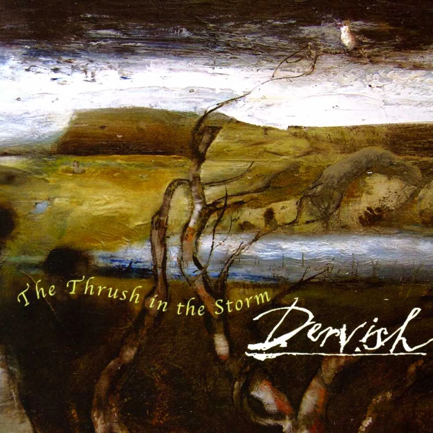Dervish THRUSH IN THE STORM CD