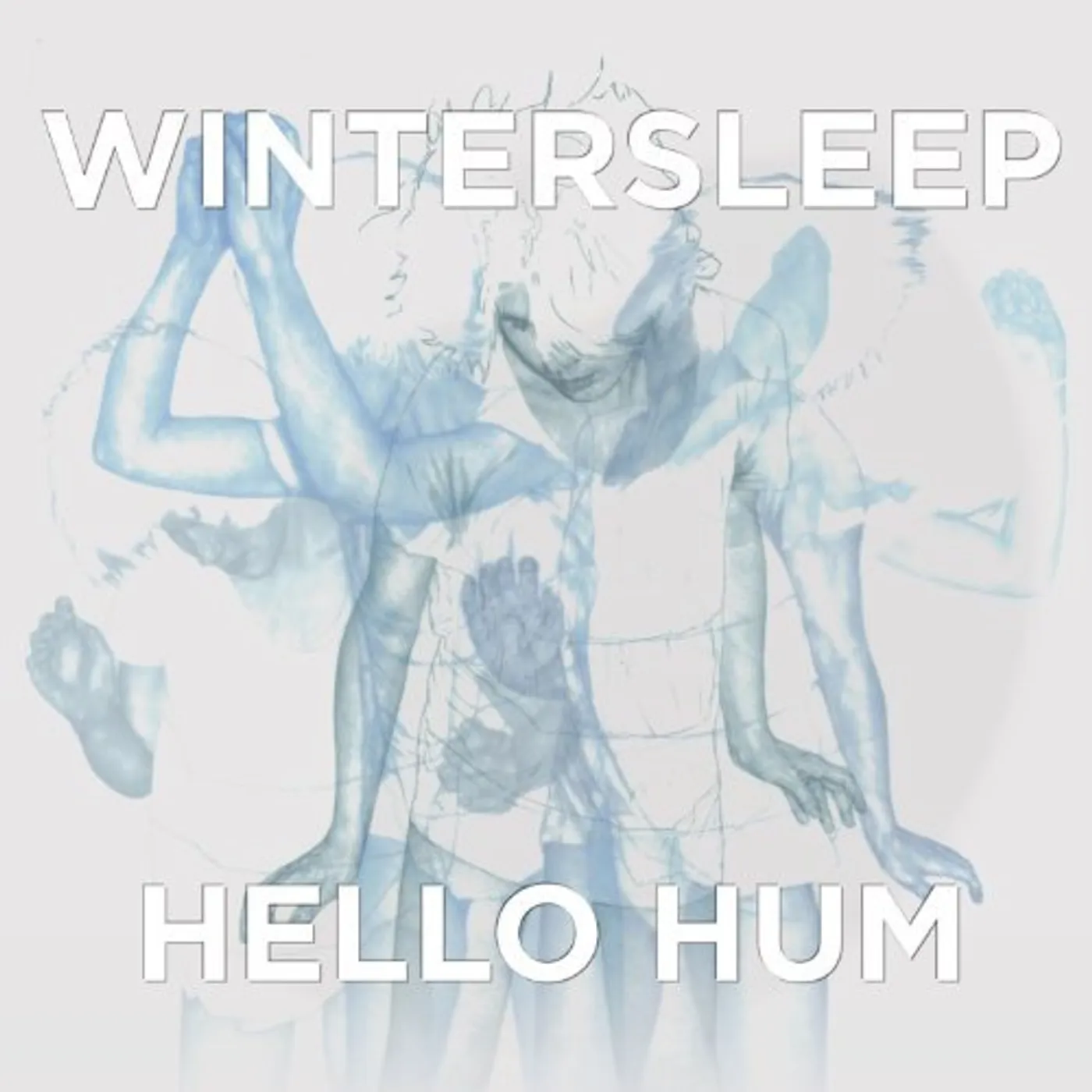 Wintersleep HELLO HUM Vinyl Record - Canada Release