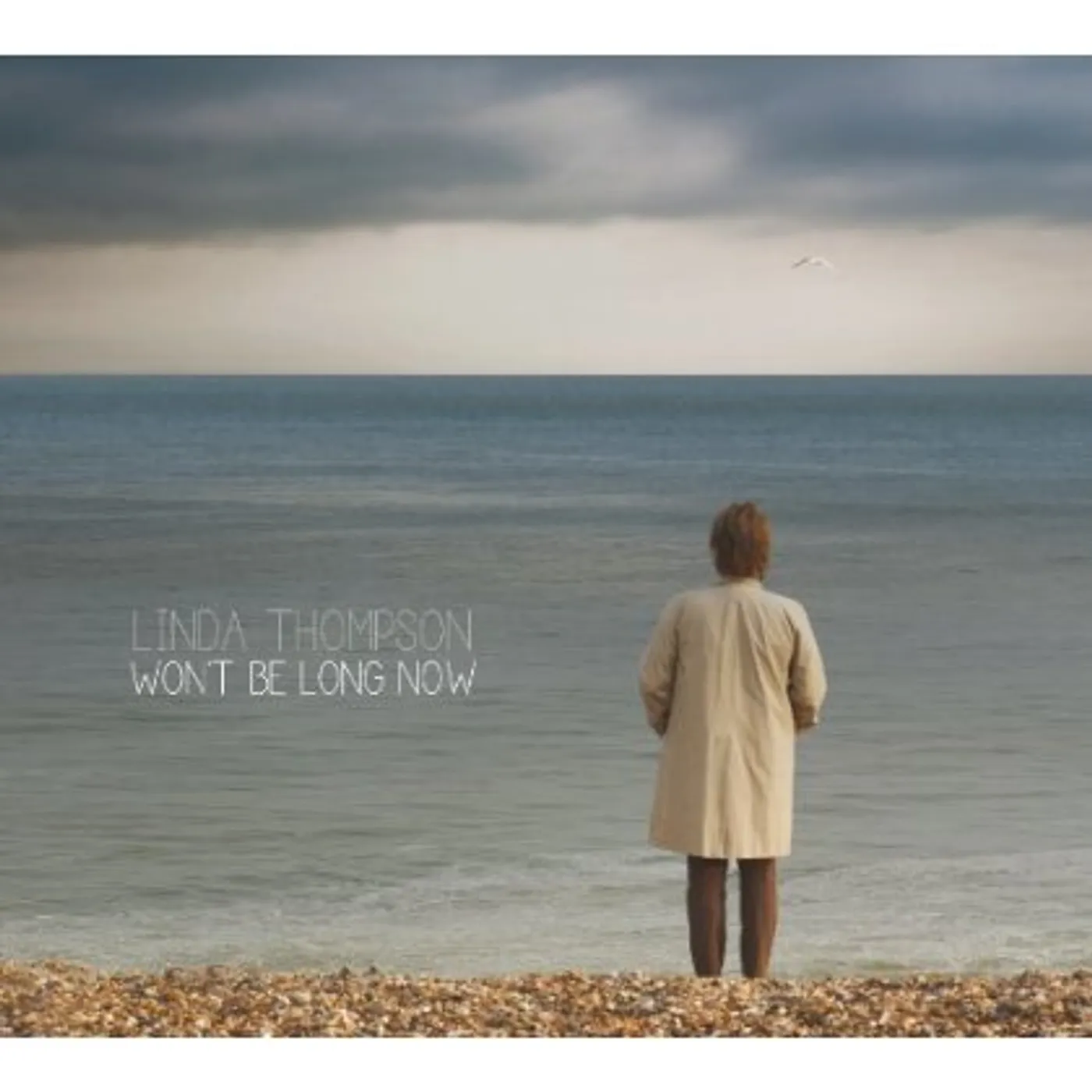 Linda Thompson Won't Be Long Now Vinyl Record