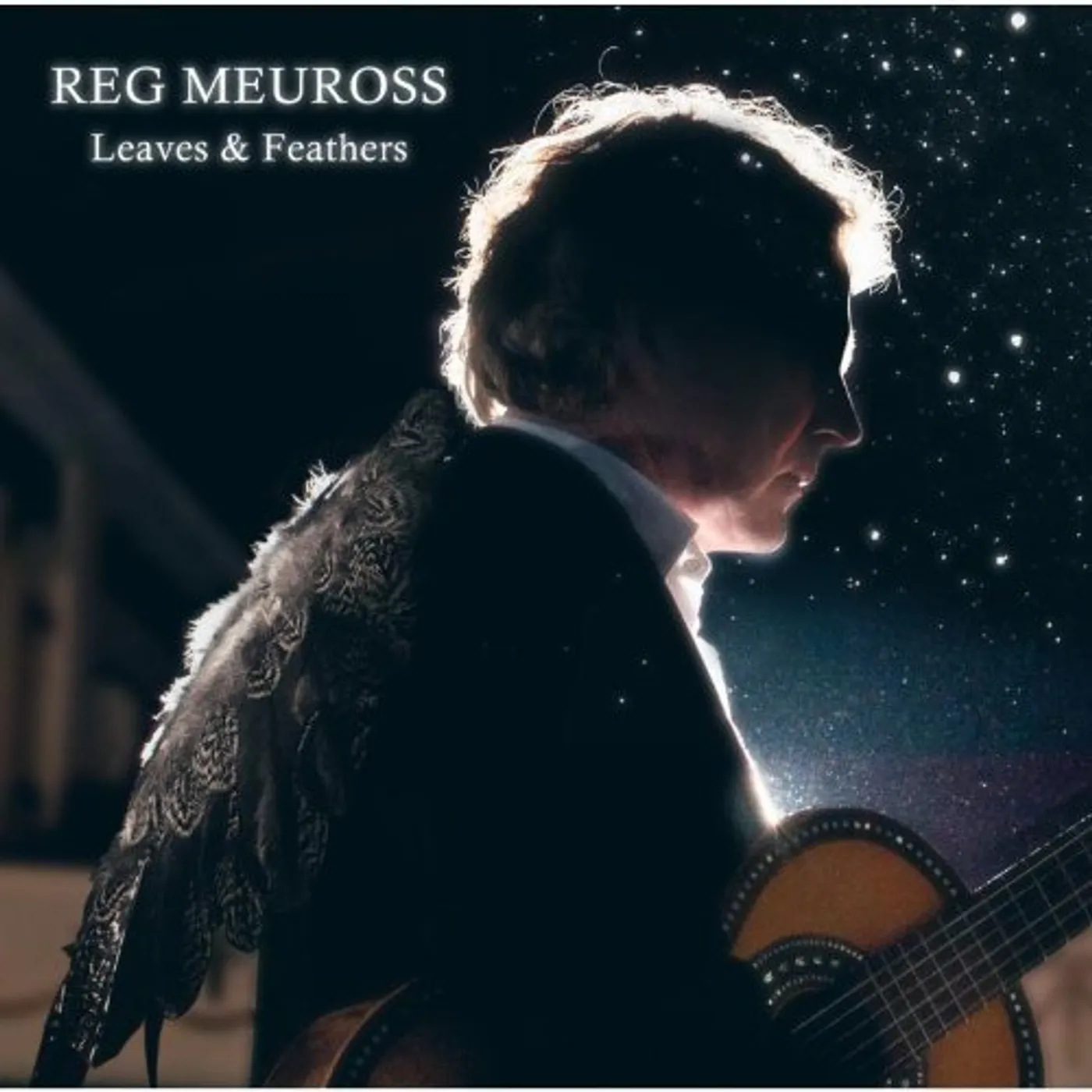 Reg Meuross LEAVES & FEATHERS CD