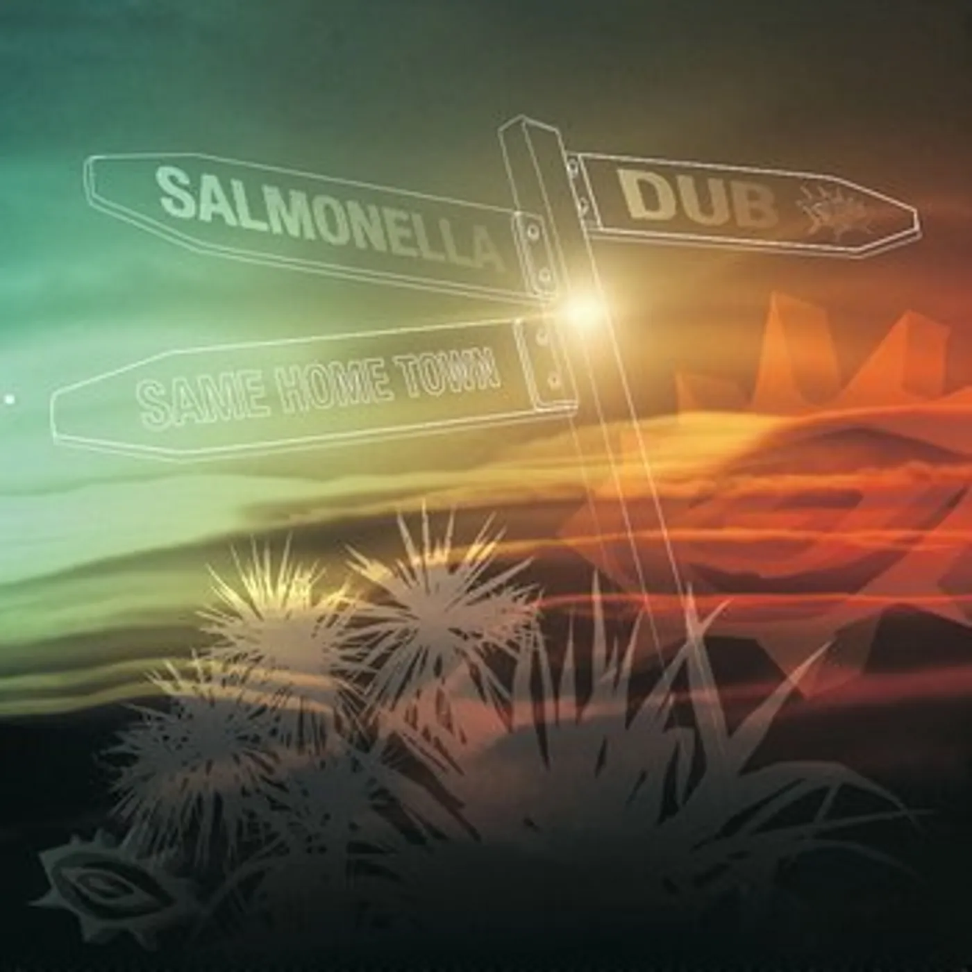 Salmonella Dub SAME HOME TOWN Vinyl Record