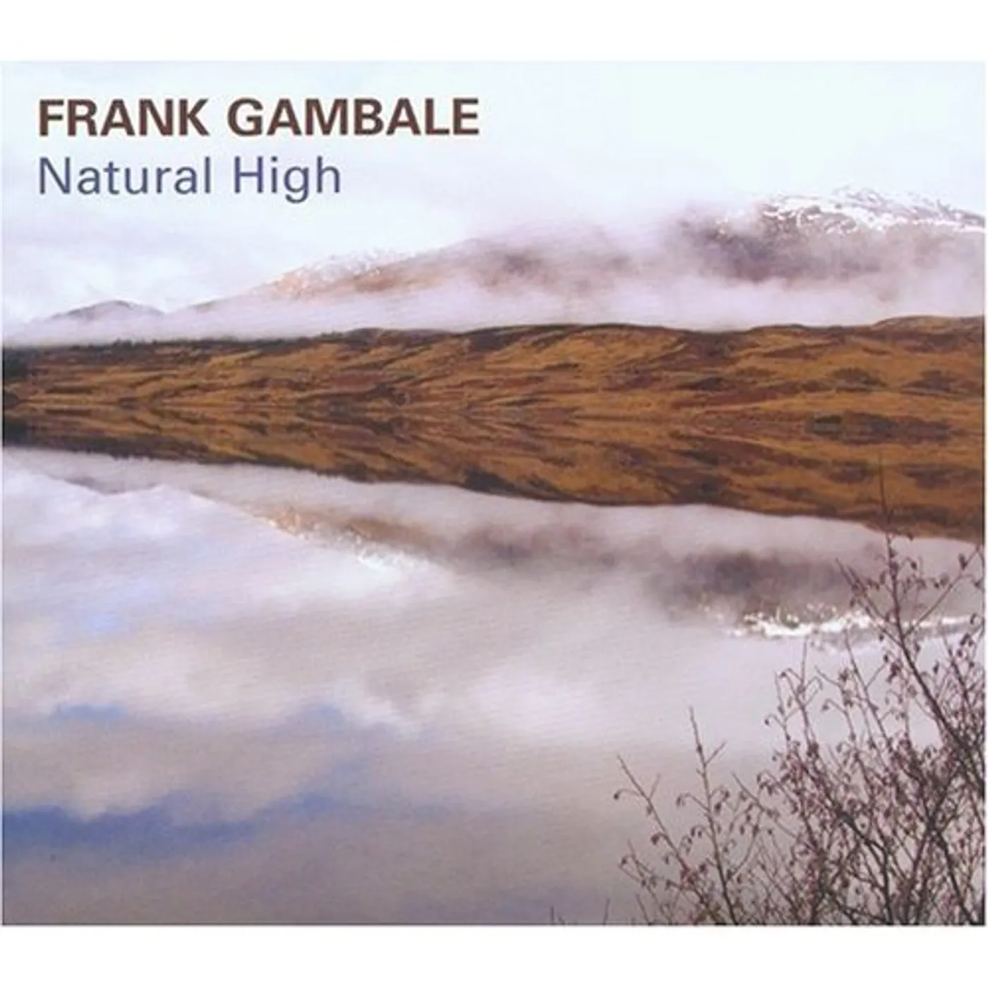 Frank Gambale NATURAL HIGH CD