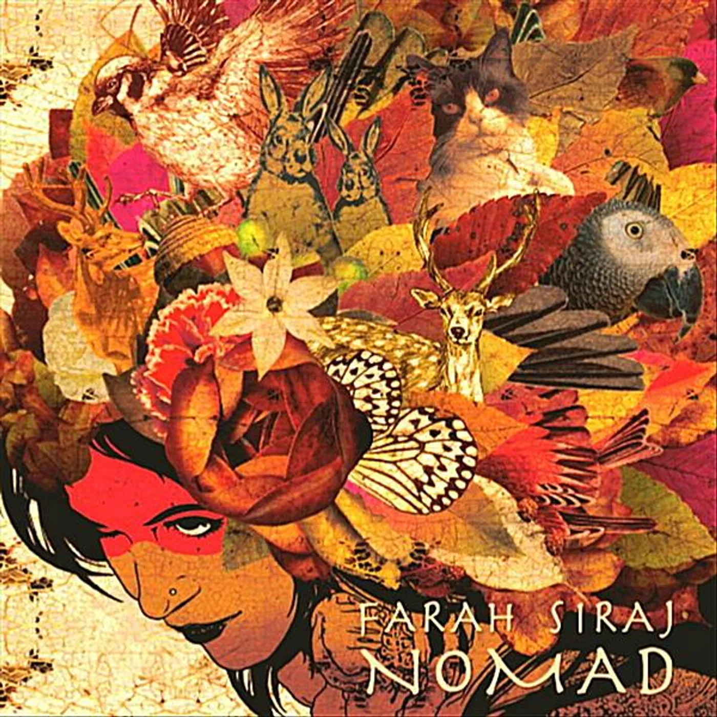 Farah Siraj NOMAD CD