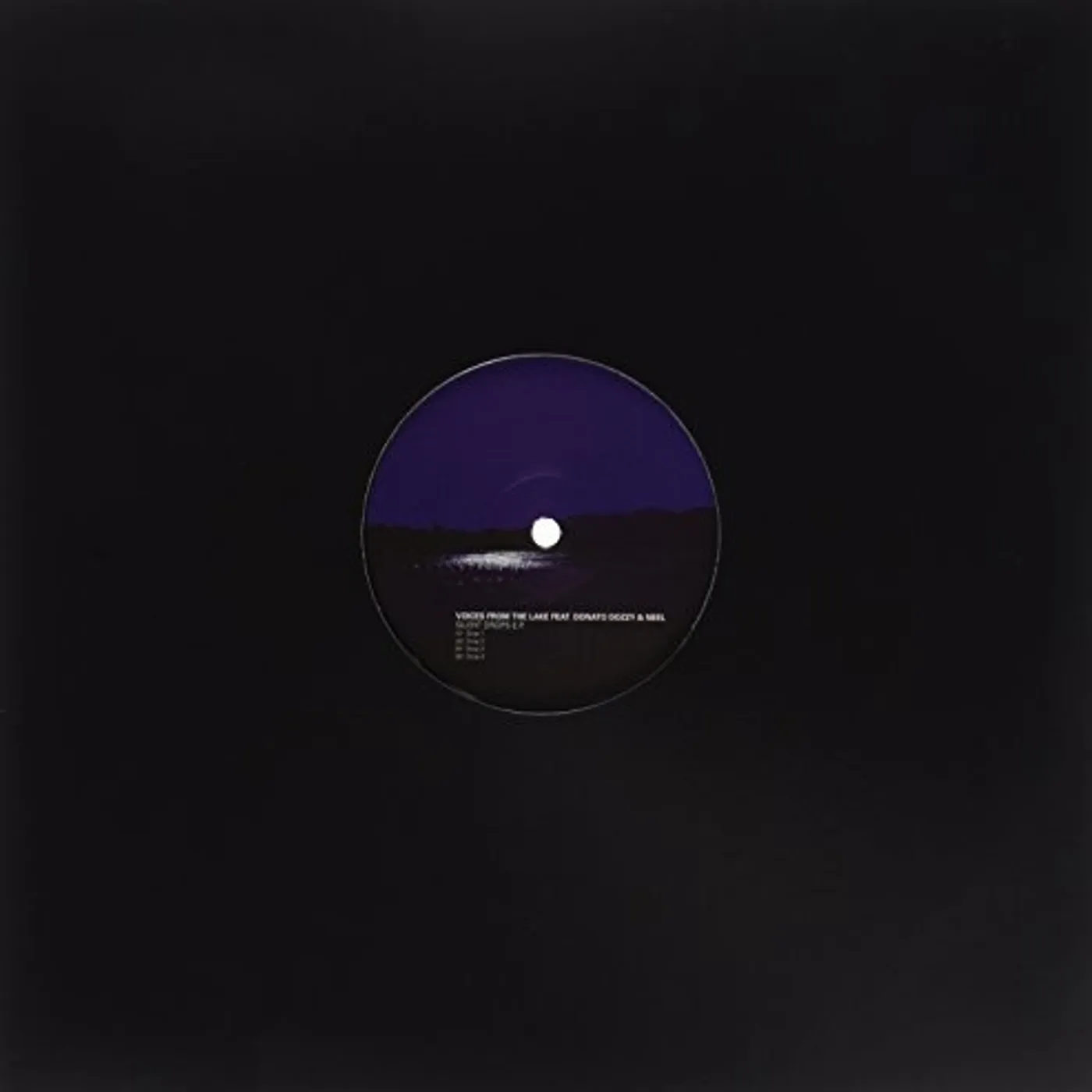 Voices from The Lake SILENT DROPS Vinyl Record