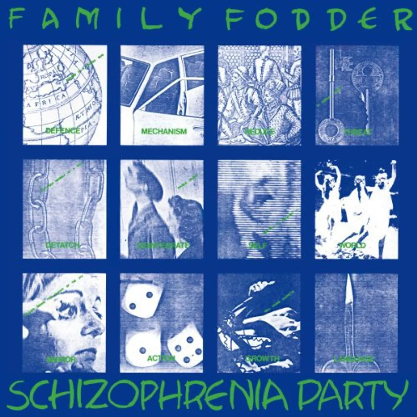 Family Fodder Schizophrenia Party (Director's Cut) Vinyl Record