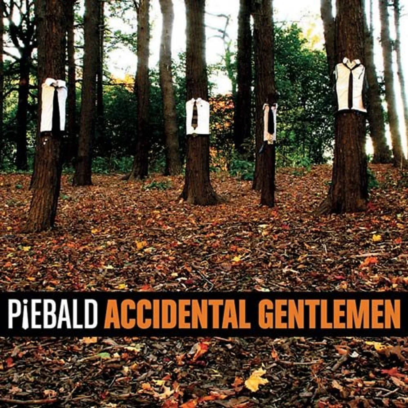 Piebald Accidental Gentleman Vinyl Record