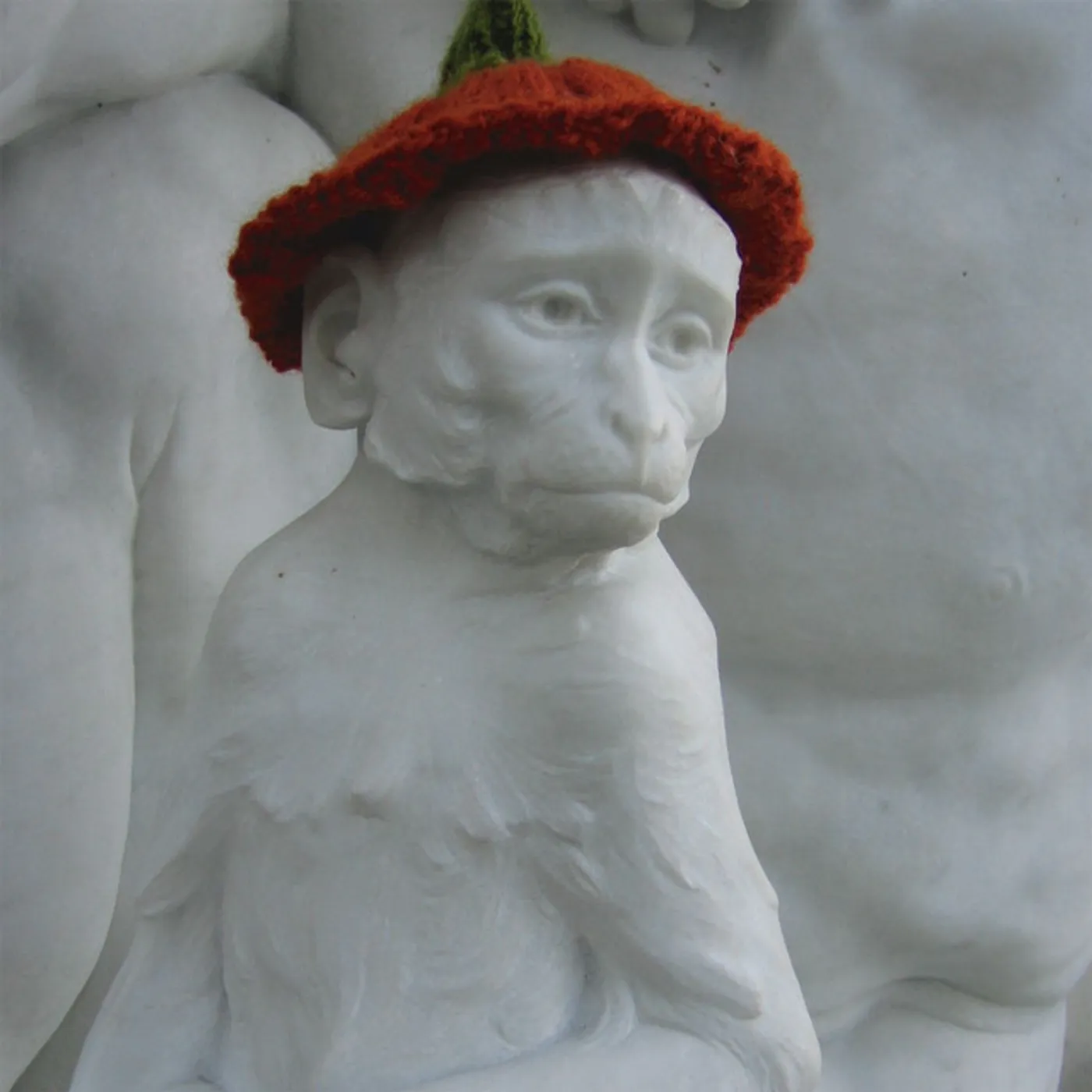 Cloud Nothings Should Have Vinyl Record