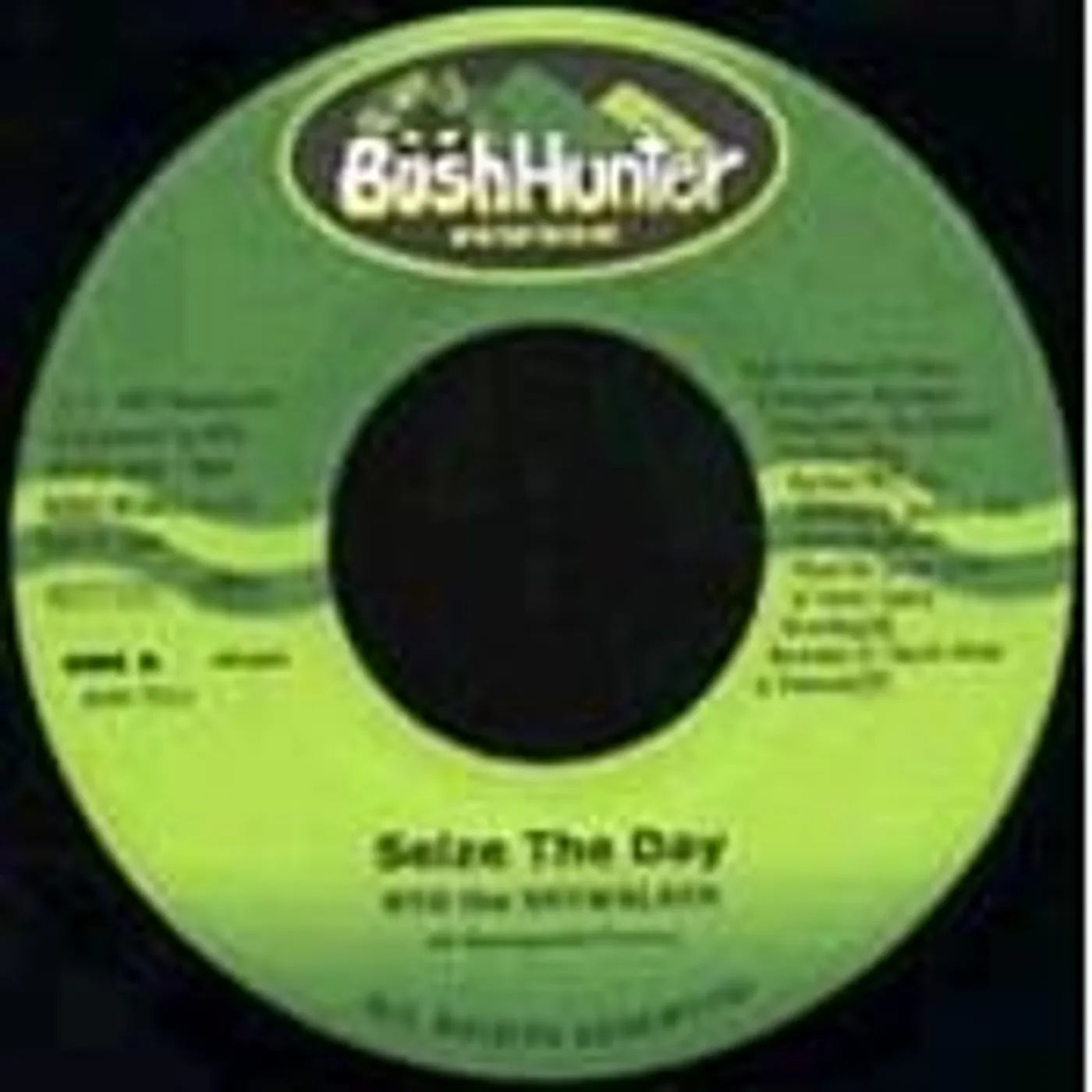 RYO the SKYWALKER SOLID GROUND: BINGI 2007 Vinyl Record - Japan Release