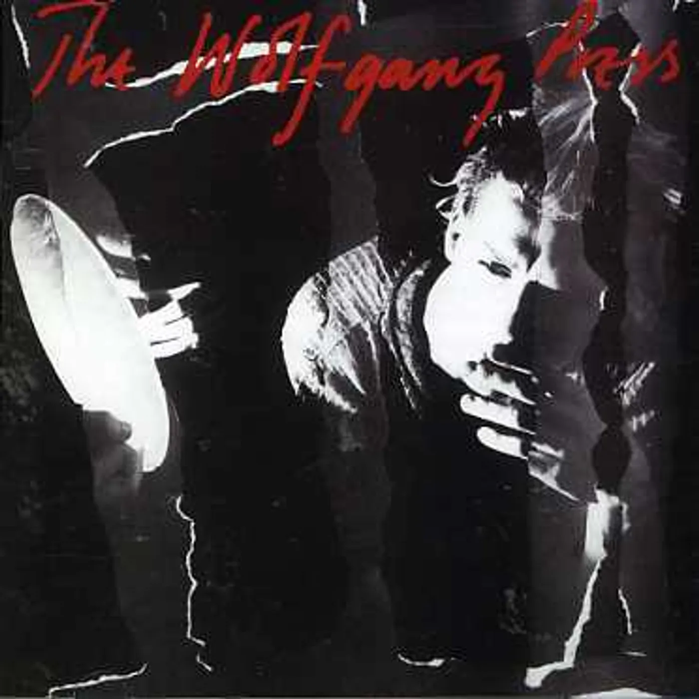 The Wolfgang Press BURDEN OF MULES CD