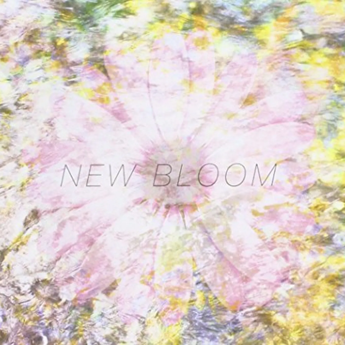 Endless Heights NEW BLOOM CD