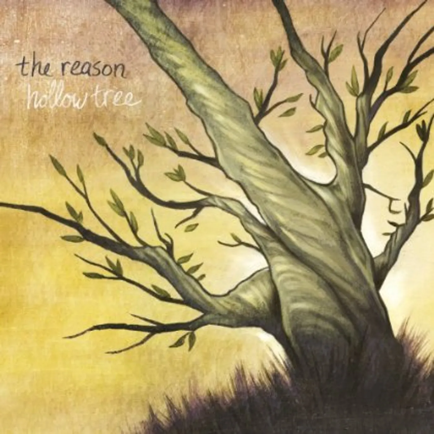 Reason HOLLOW TREE CDEP CD