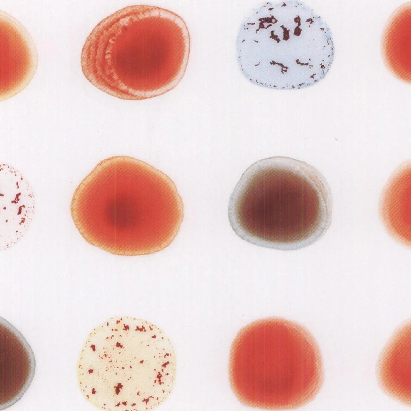 Peter Gabriel SCRATCH MY BACK & I'LL SCRATCH YOURS Vinyl Record