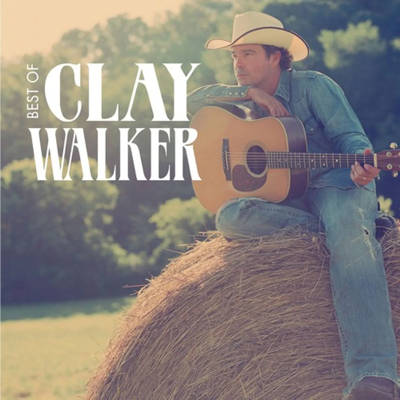 Clay Walker BEST OF CD