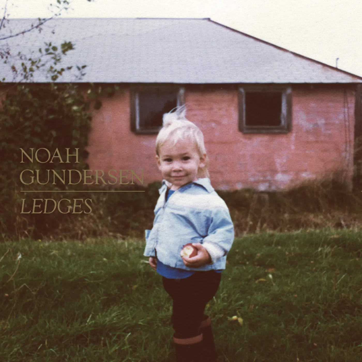 Noah Gundersen Ledges Vinyl Record