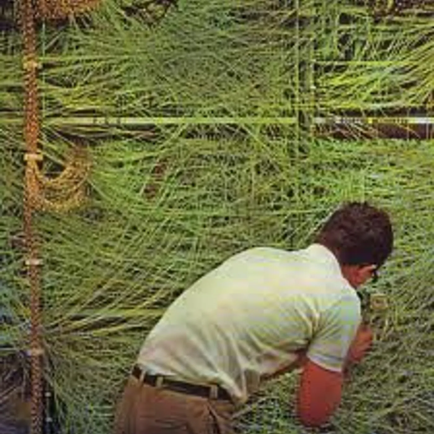 P.E.E. ROARING MECHANISM Vinyl Record