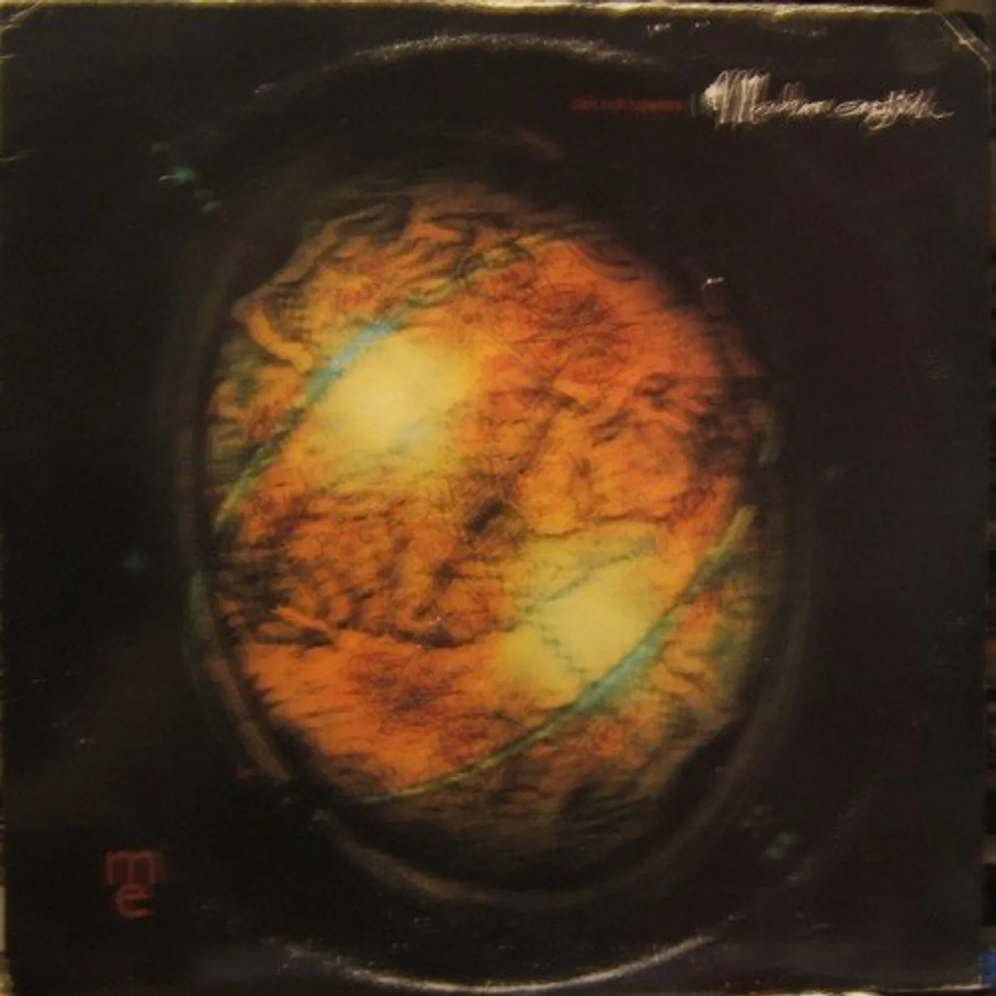 Modern English LIFES RICH TAPESTRY Vinyl Record