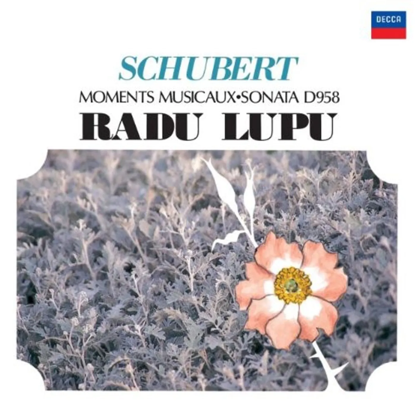 Radu Lupu SCHUBERT: MOMENTS MUSICAUX & PIANO SO CD