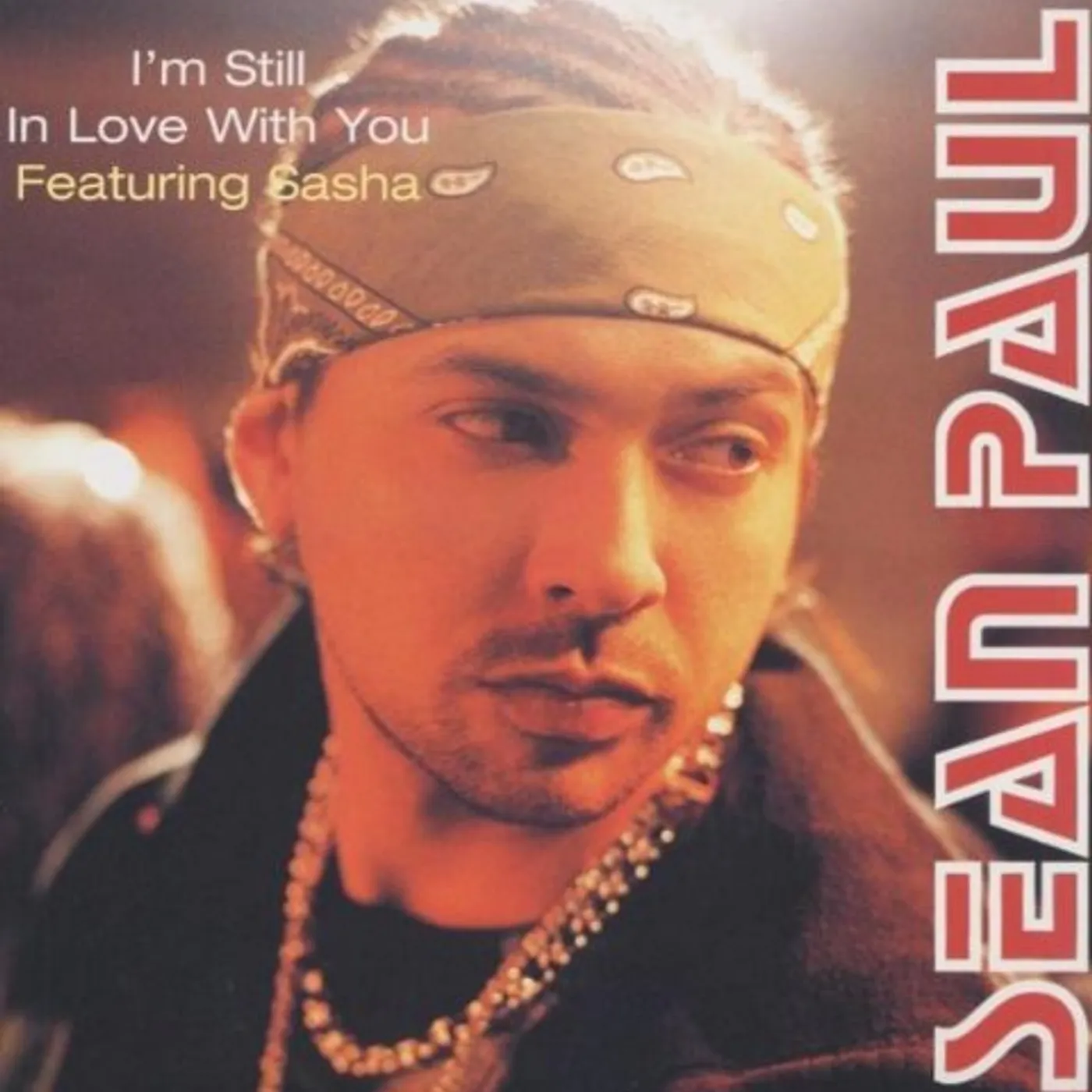 Sean Paul I'M STILL IN LOVE WITH YOU (GER) Vinyl Record