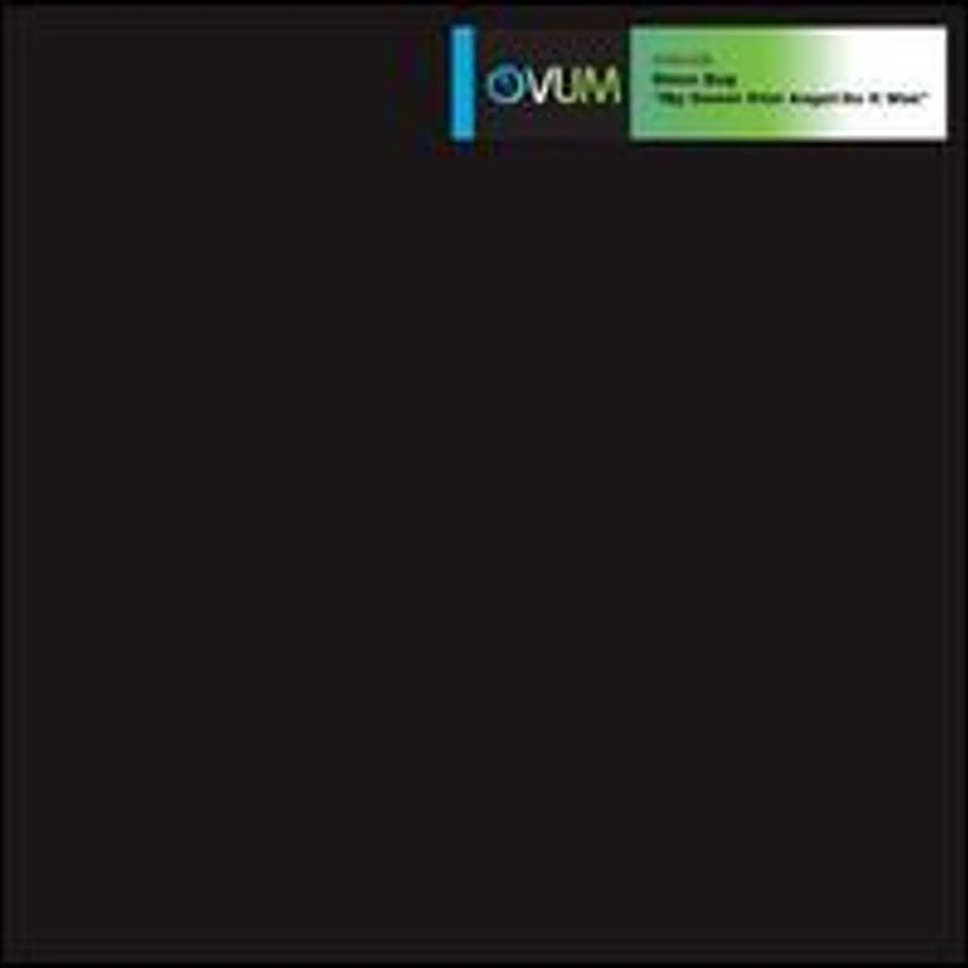 Steve Bug AS IT WAS Vinyl Record