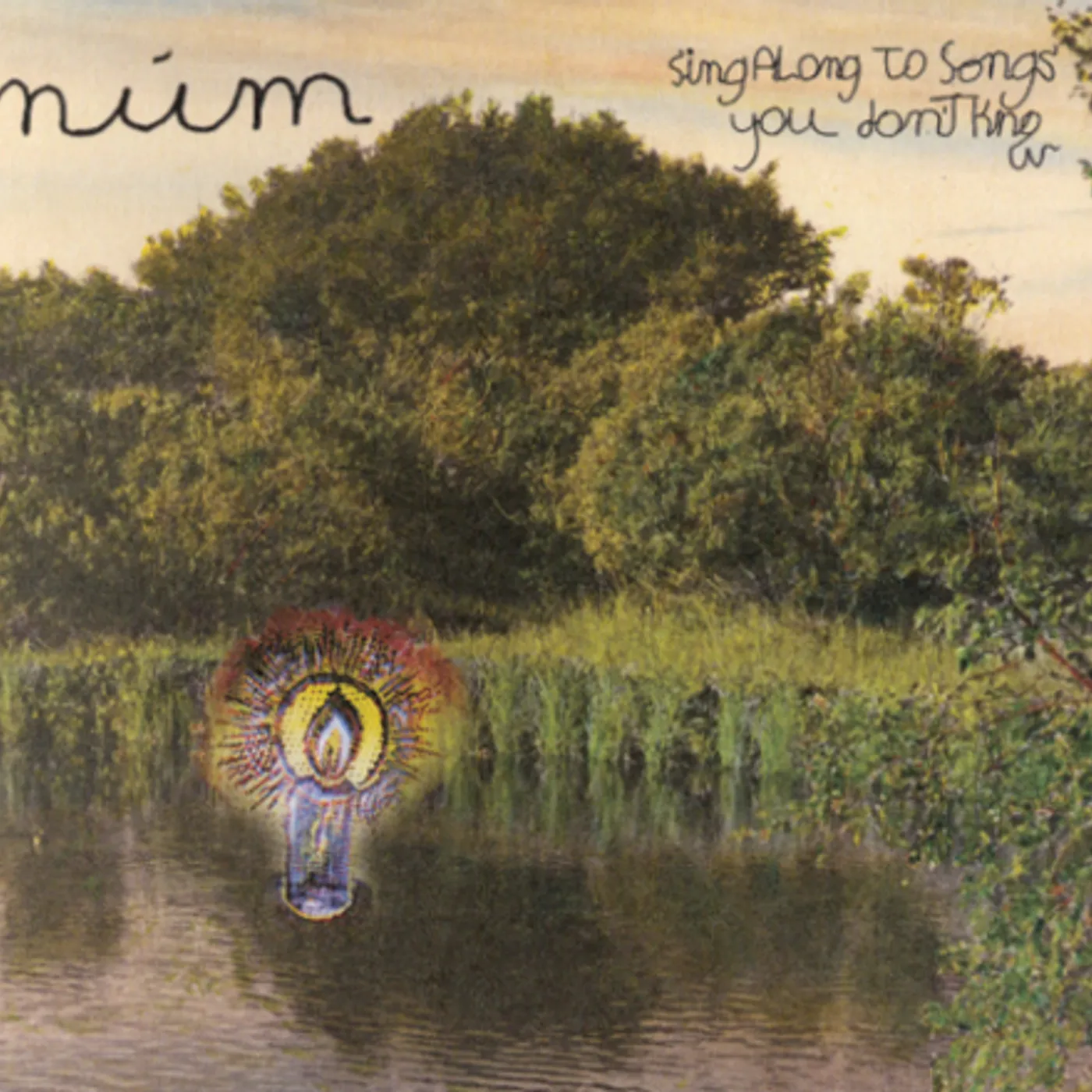 Mum SING ALONG TO SONGS YOU DONT KNOW Vinyl Record