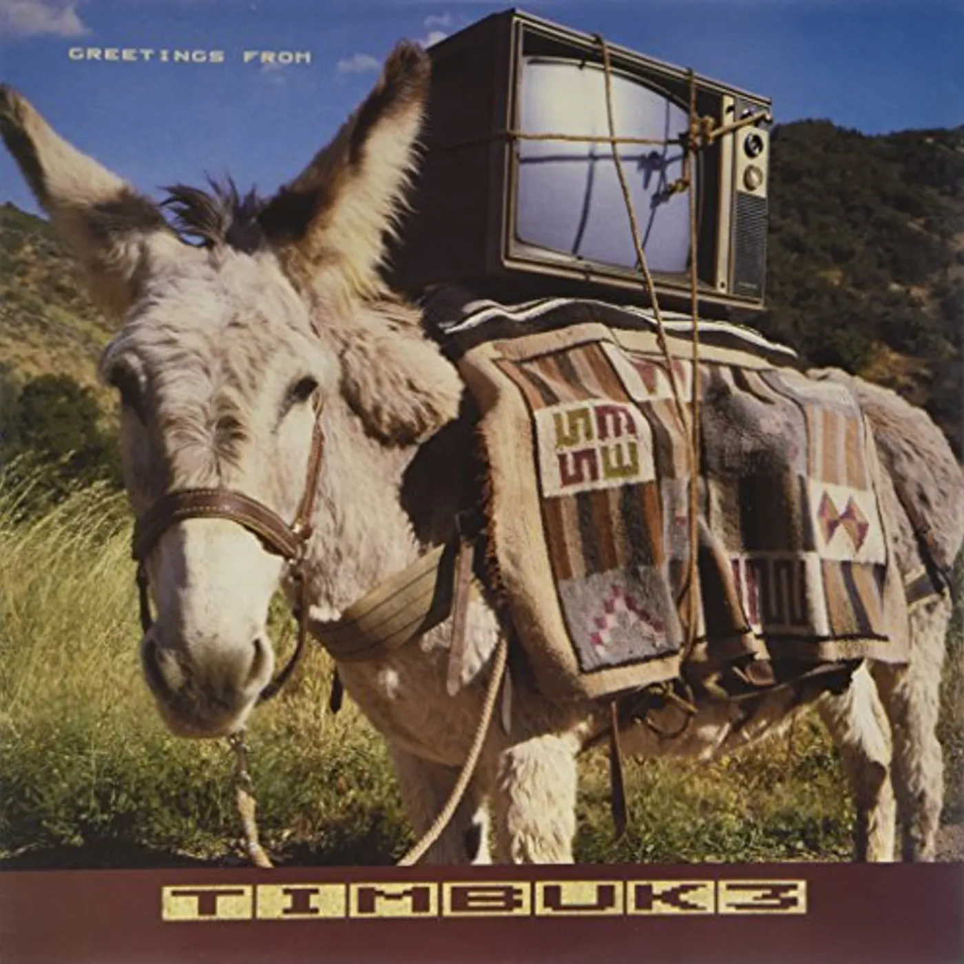 Timbuk 3 GREETINGS FROM Vinyl Record