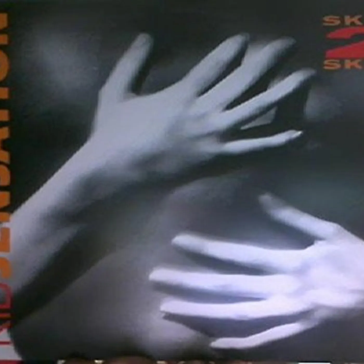 Kid Sensation Skin 2 Skin Vinyl Record