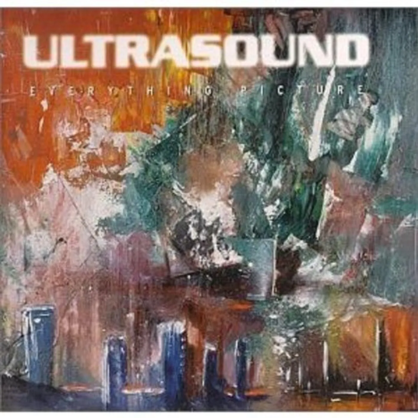 Ultrasound EVERYTHING Vinyl Record
