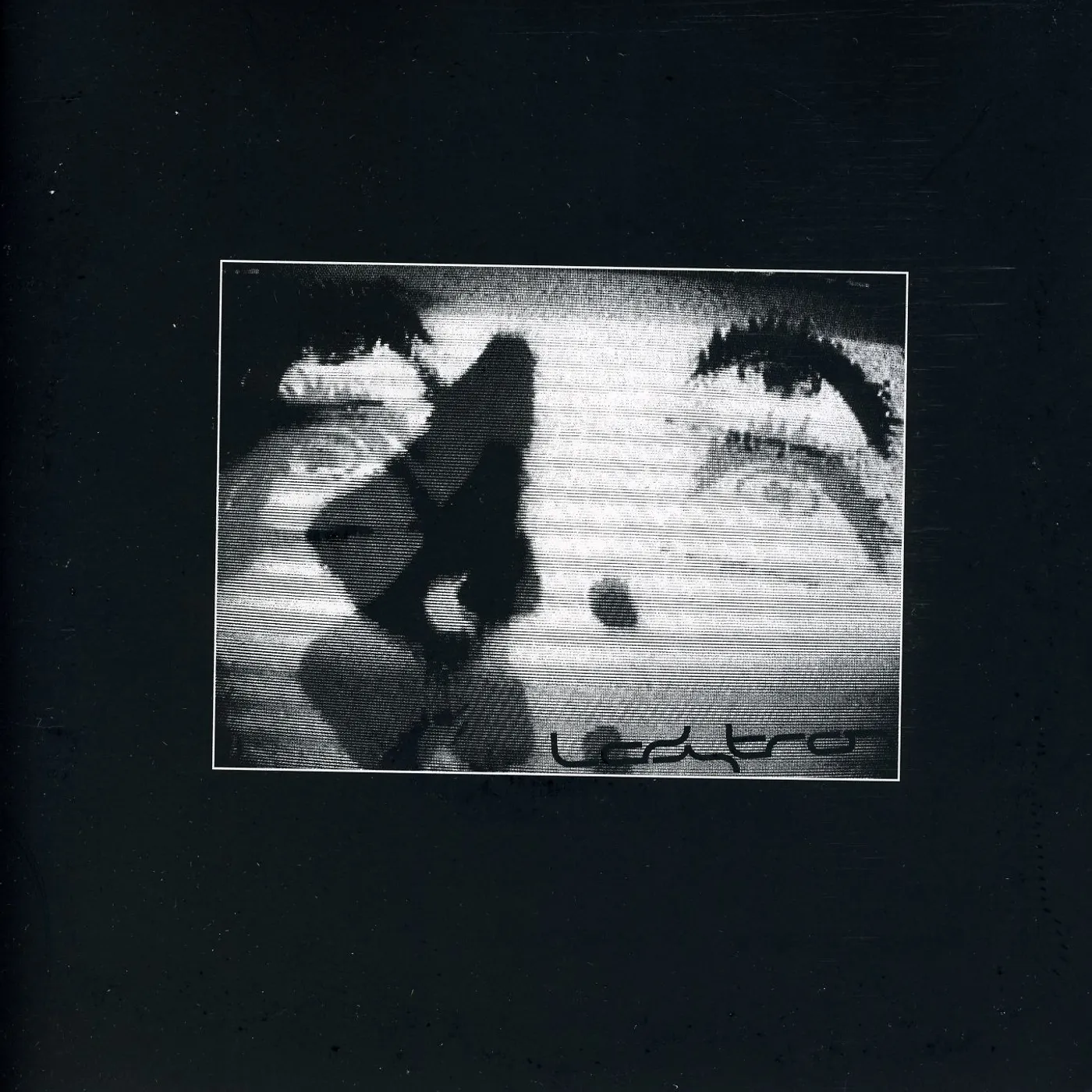 Ladytron LIVE Vinyl Record