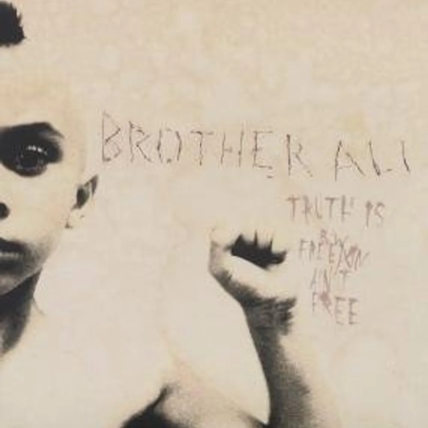 Brother Ali TRUTH IS Vinyl Record