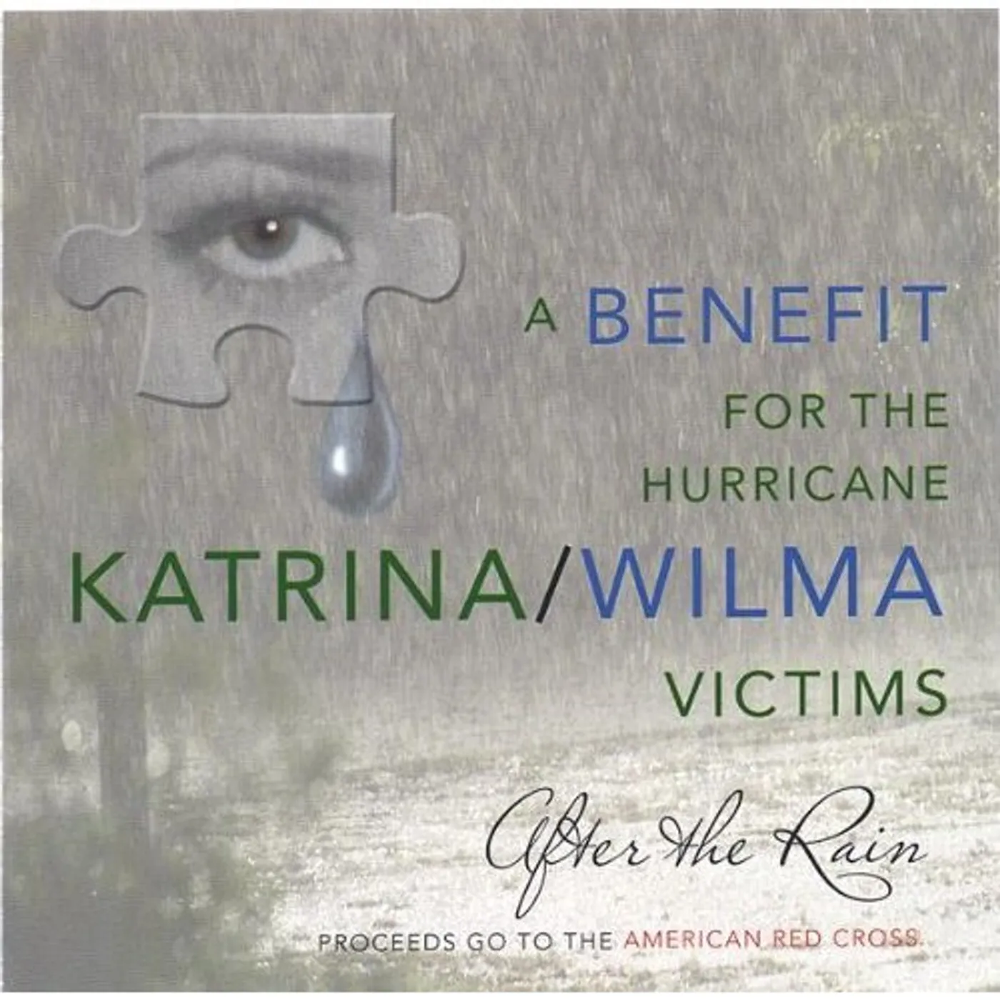 After the Rain BENEFIT FOR THE HURRICANE KARTRINA/WILMA VICTIMS CD