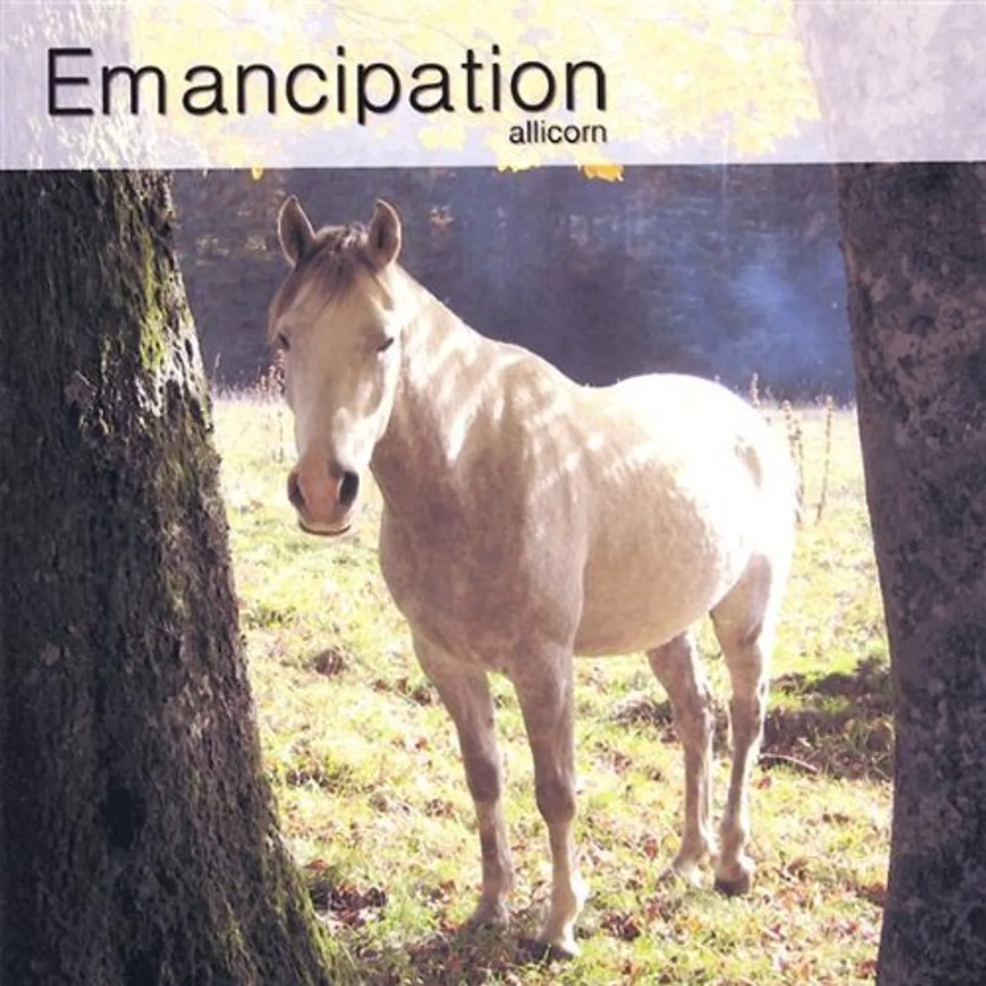 Allicorn EMANCIPATION CD