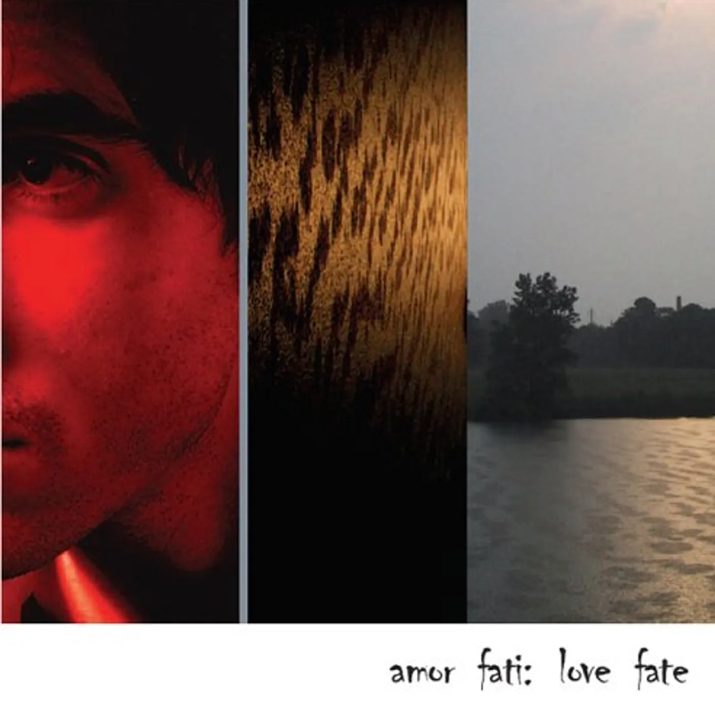 Amor Fati LOVE FATE CD