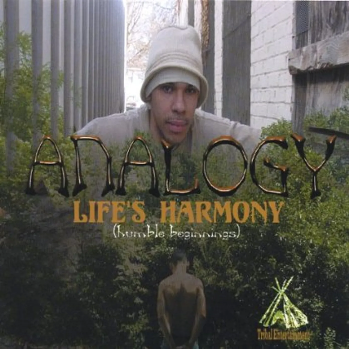 Analogy LIFES HARMONYHUMBLE BEGINNINGS CD