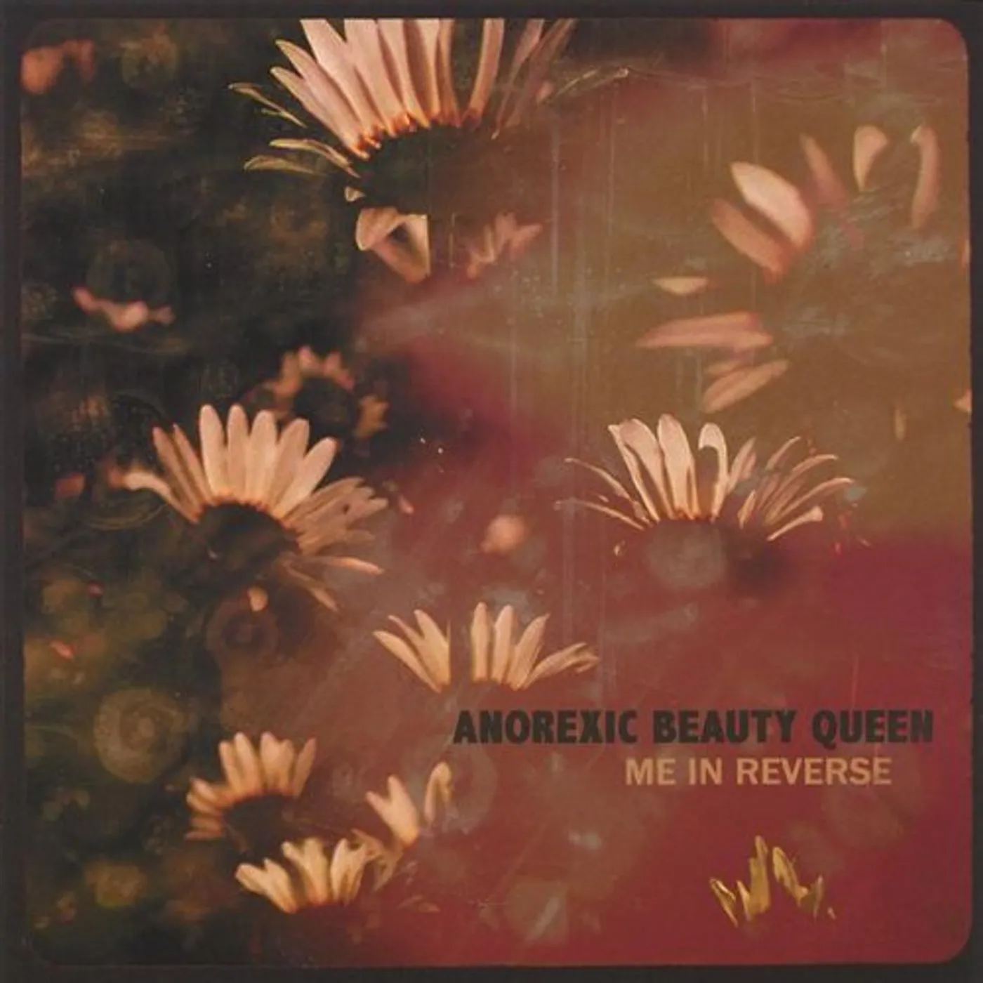 Anorexic Beauty Queen ME IN REVERSE CD