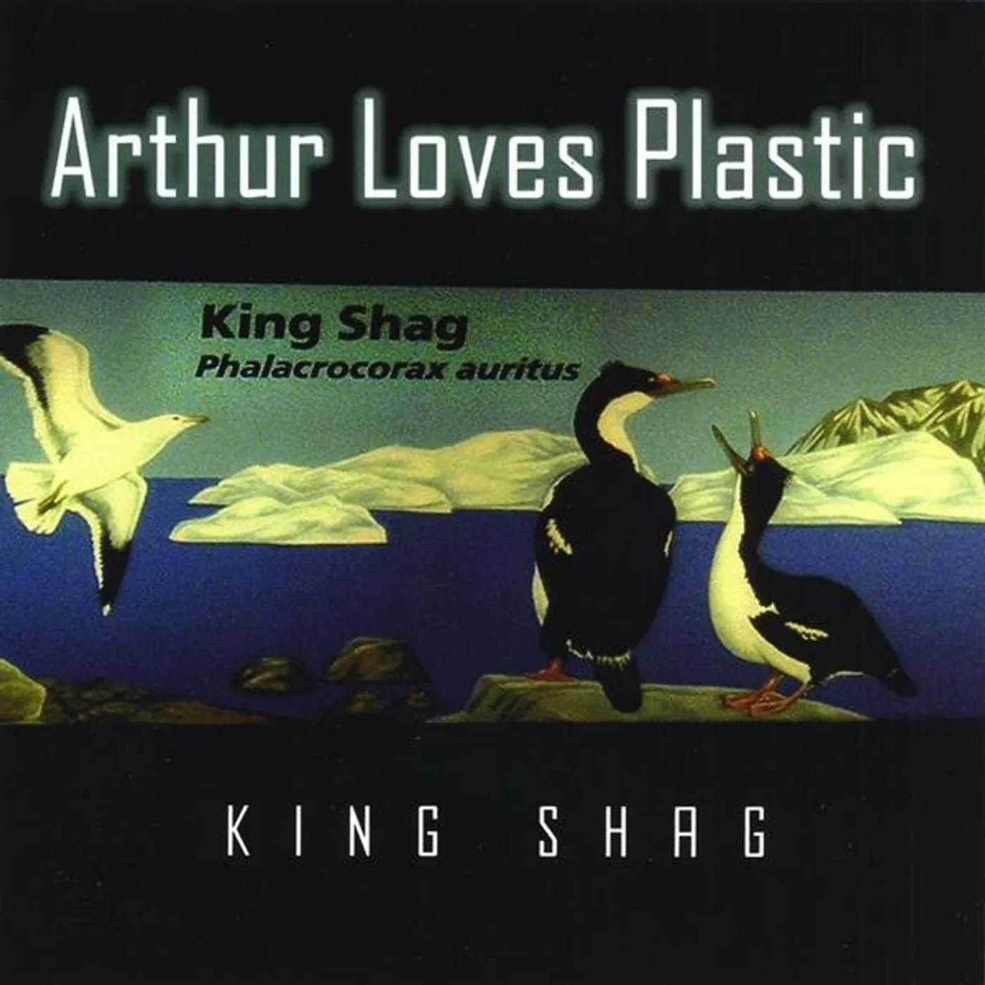 Arthur Loves Plastic KING SHAG CD
