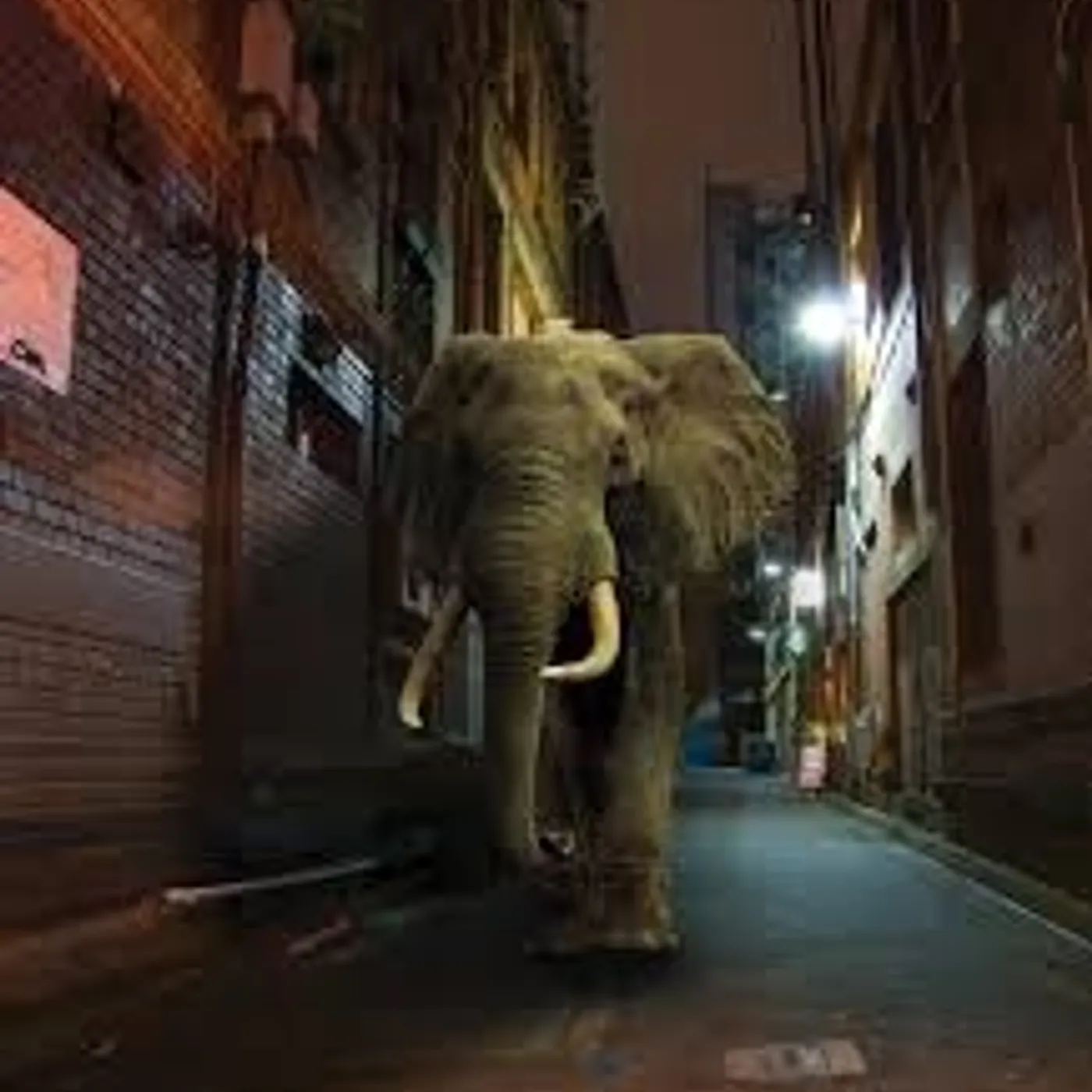 Misty Conditions D'zzzz Vinyl Record