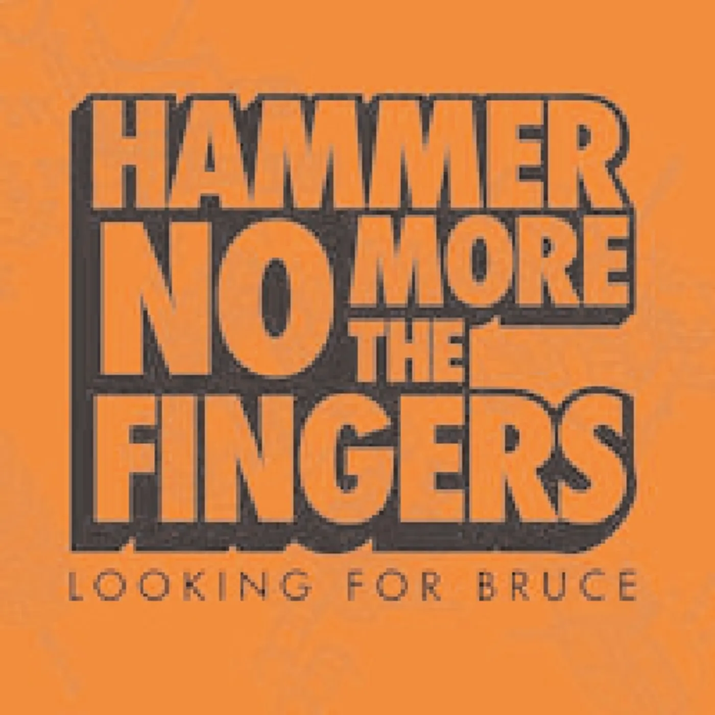 Hammer No More The Fingers LOOKING FOR BRUCE CD