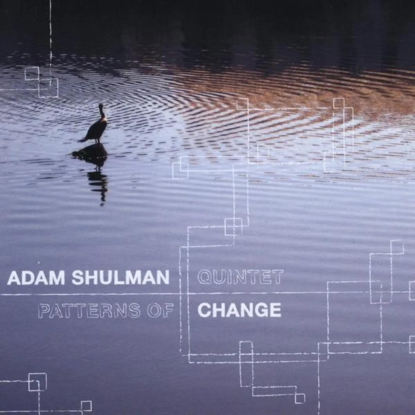 Adam Shulman PATTERNS OF CHANGE CD