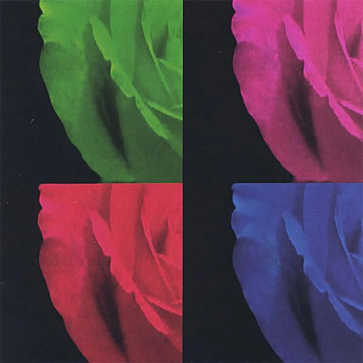 Richard Bone SAIYUJI CD