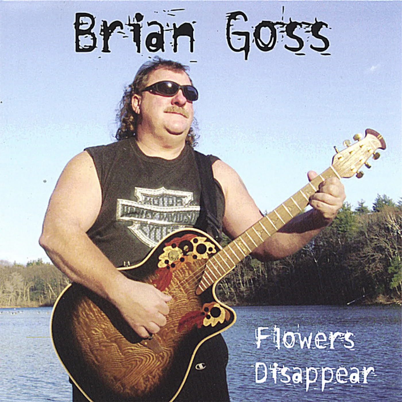 Brian Goss FLOWERS DISAPPEAR CD