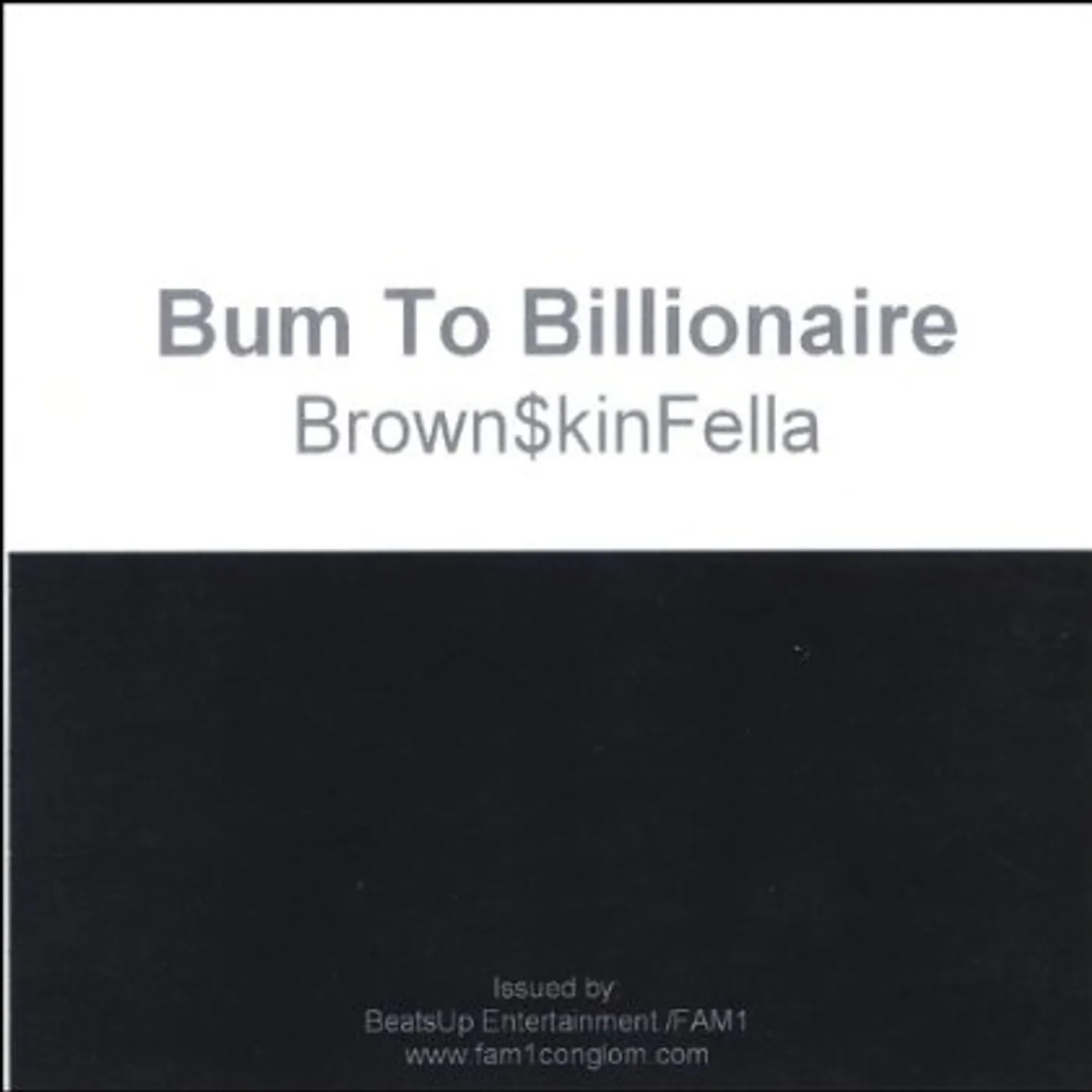 BrownSkinFella BUM TO BILLIONAIRE CD