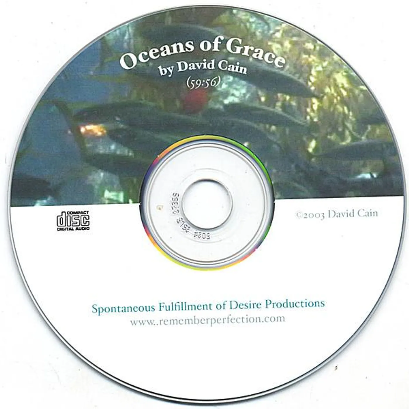 David Cain OCEANS OF GRACE CD