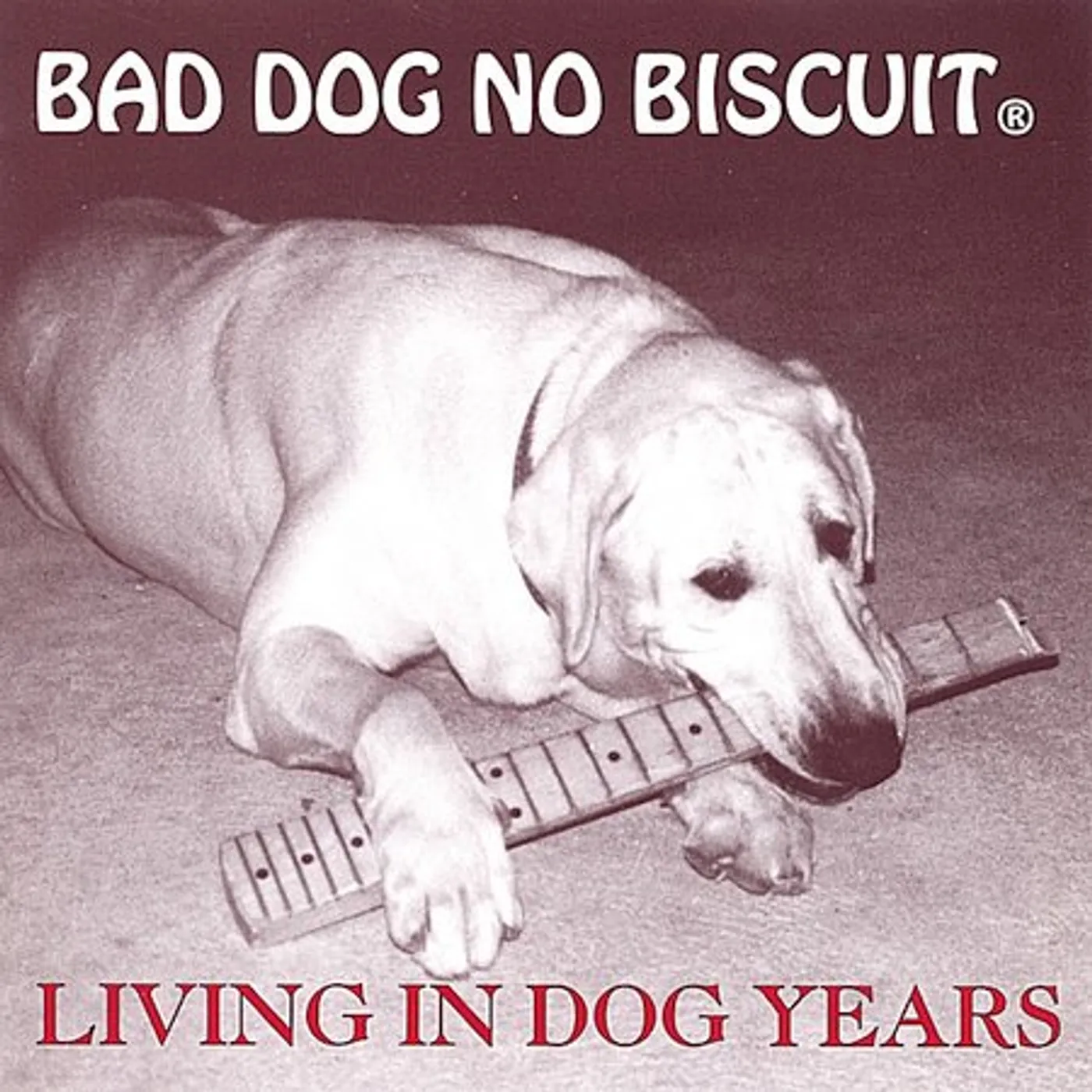 Bad Dog No Biscuit LIVING IN DOG YEARS CD