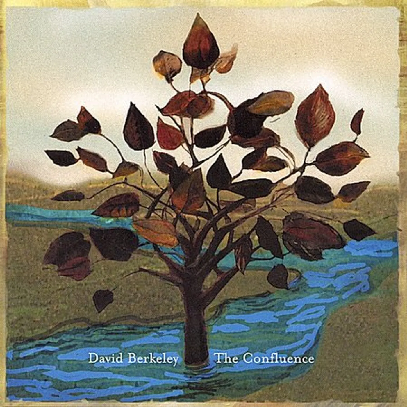 David Berkeley CONFLUENCE CD