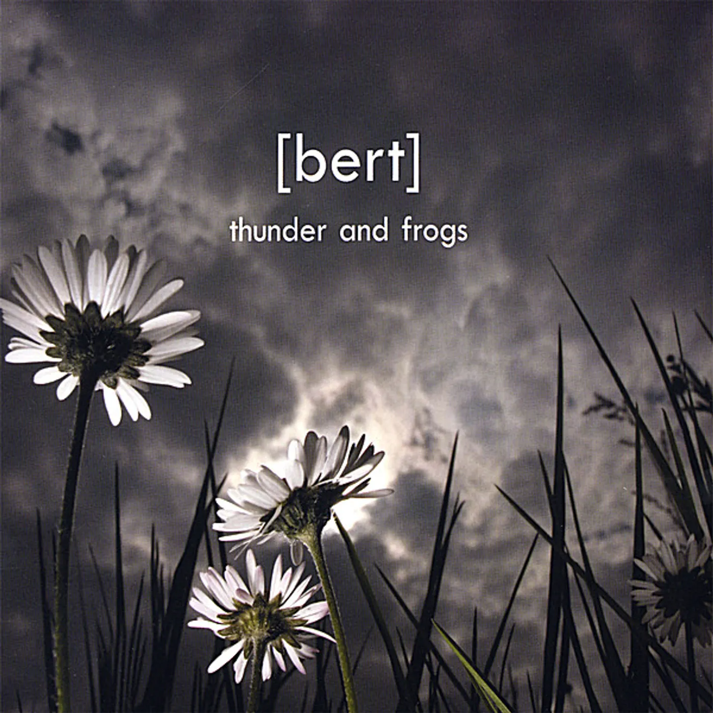 Bert THUNDER & FROGS CD