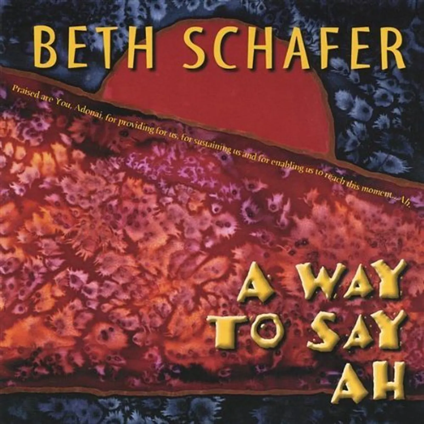 Beth Schafer WAY TO SAY AH CD