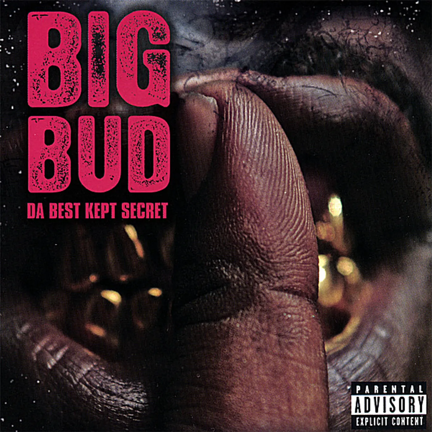 Big Bud DA BEST KEPT SECRET CD